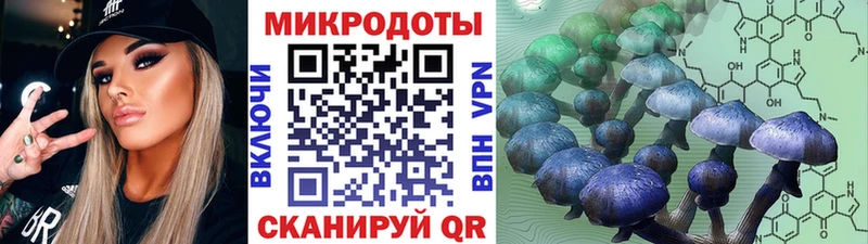 цена   Печоры  Галлюциногенные грибы MAGIC MUSHROOMS 